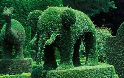 472763934Chandigarh_Topiary_Park_Main 472763934Chandigarh_Topiary_Park_Main