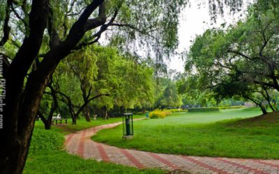 Shanti-Kunj-Chandigarh-500×300 Shanti-Kunj-Chandigarh-500x300