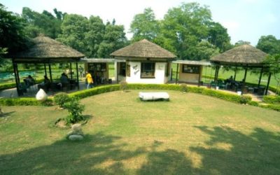 bamboo-valley-500×300 bamboo-valley-500x300