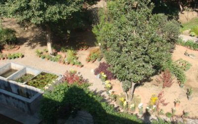 botanic-garden-chd-500×300 botanic-garden-chd-500x300