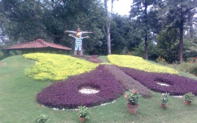 butterfly-park butterfly-park
