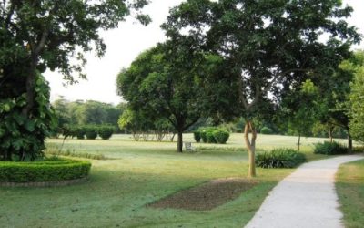 fitness-garden-672×5041-500×300 fitness-garden-672x5041-500x300