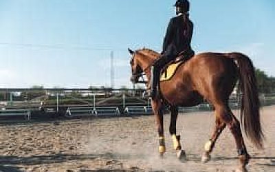 images (1) images (1)