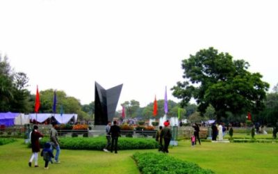 terraced-garden-895×5831-500×300 terraced-garden-895x5831-500x300